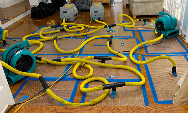 Professional Flood Damage Restoration technician working in Richeyville, PA